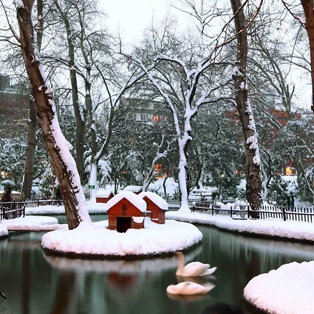 Metropolitan Анкара