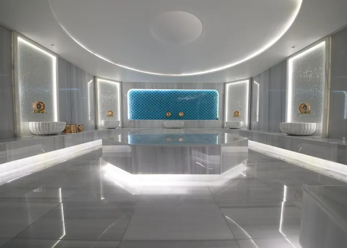 Hotel Metropolitan 5*